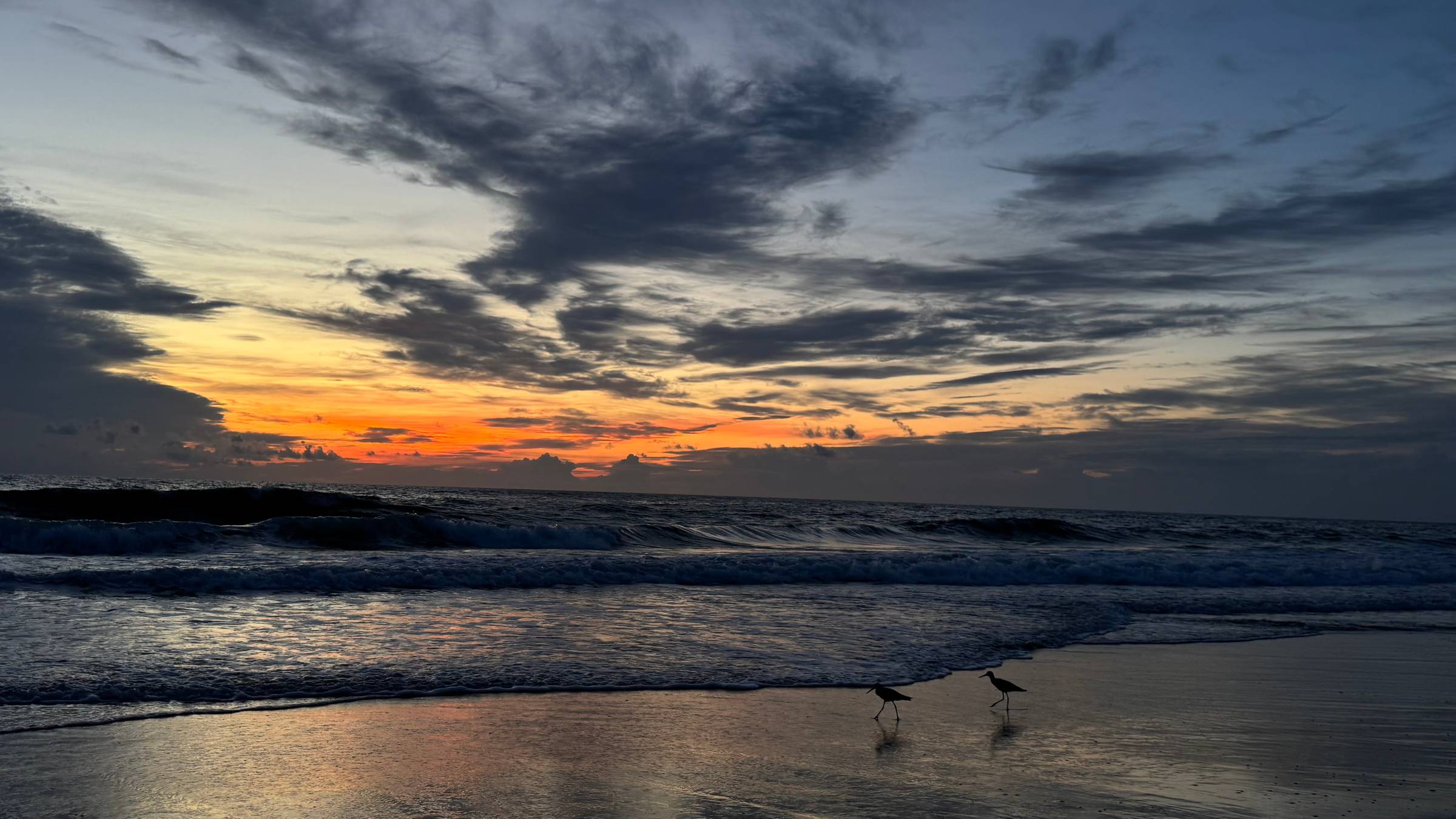 Ocean sunrise with clouds in sky and two birds in front of waves. 