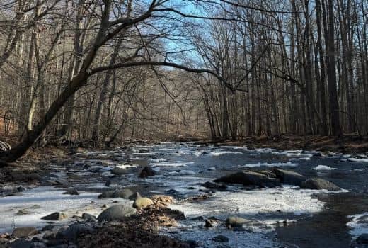 Snow covered river with trees on either side. 