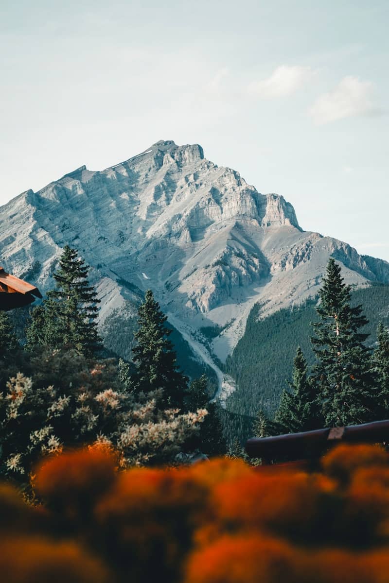 A view of a mountain with trees in the foreground