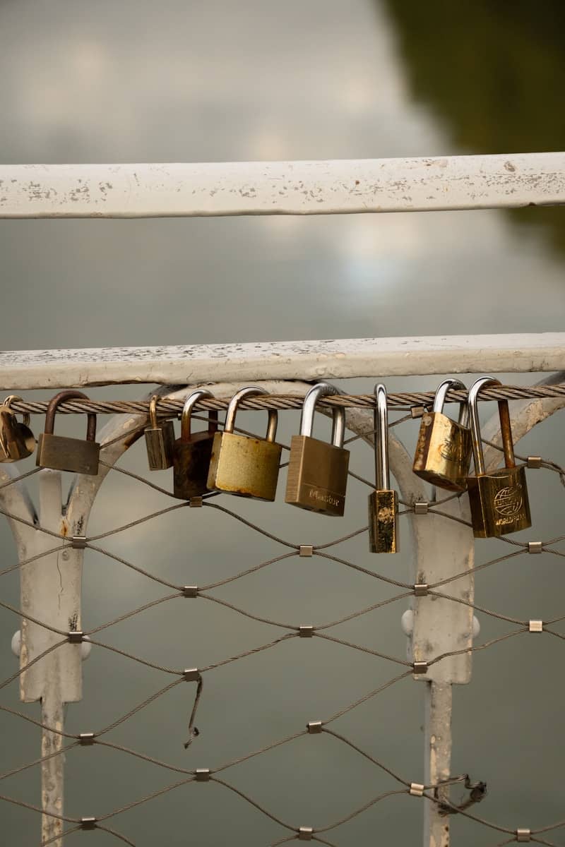 Several padlocks hang from a metal wire fence.