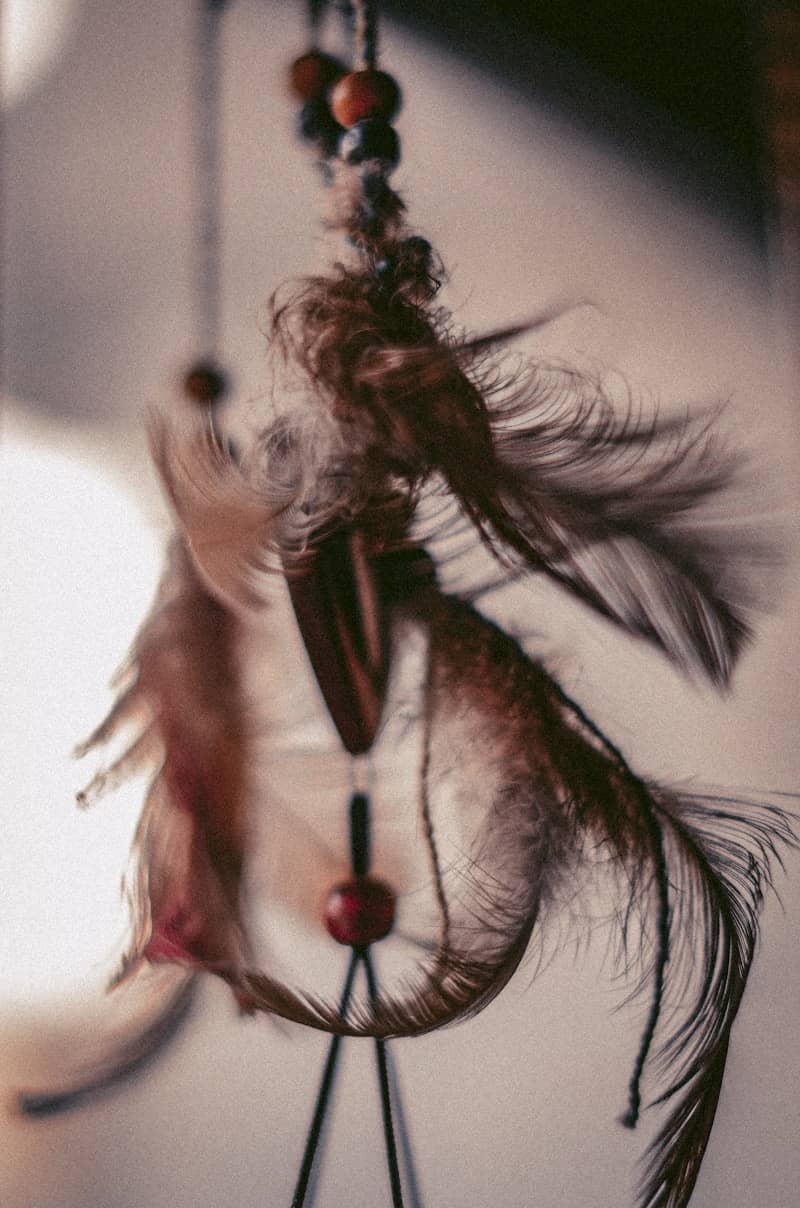 Close-up of a dreamcatcher with feathers and beads