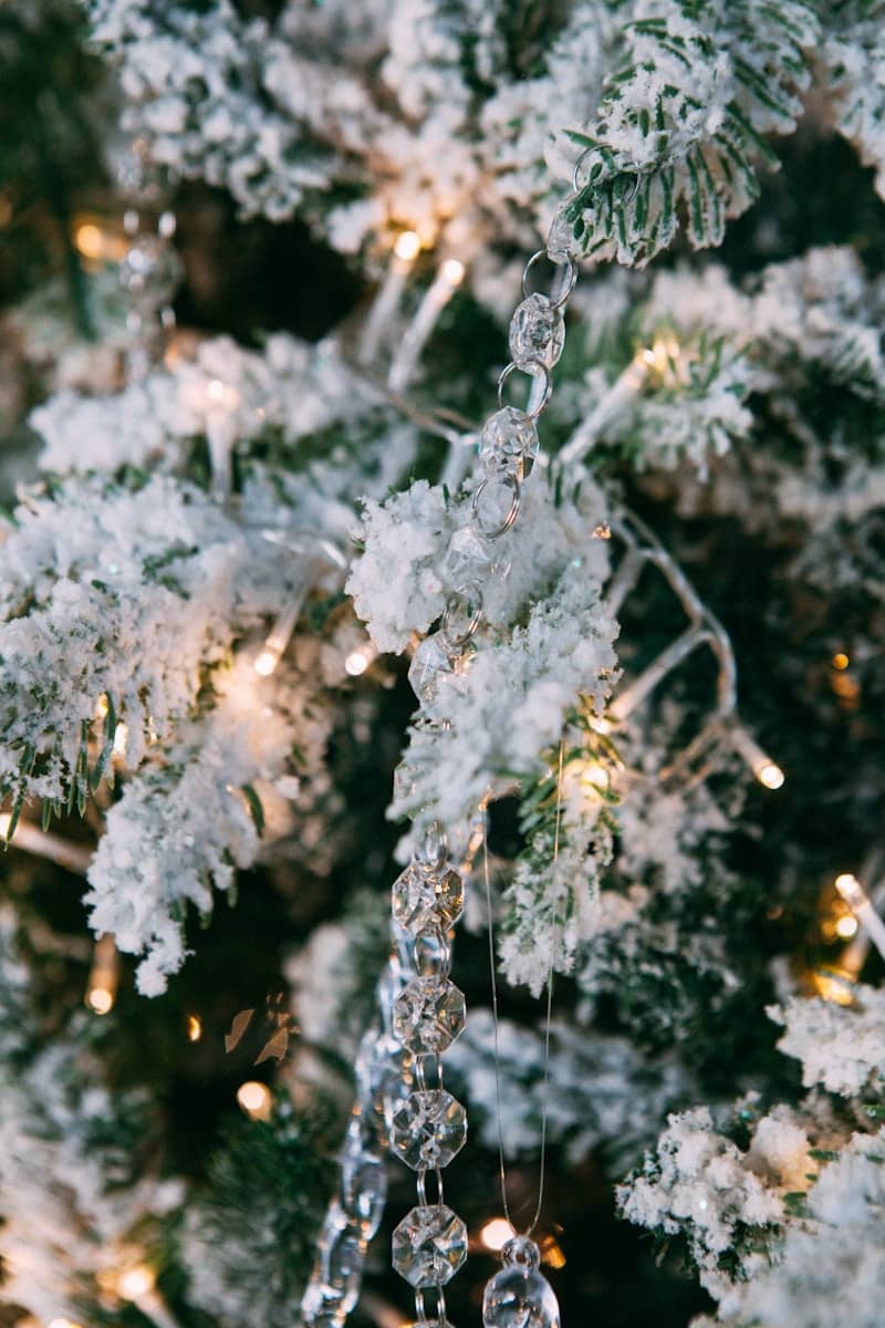 Close-up of a frosted christmas tree branch with ornaments.