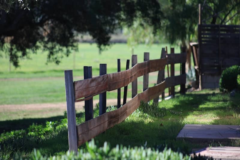 Wooden fence in a grassy field with trees