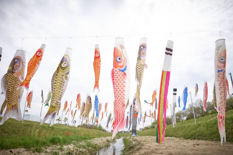 Colorful carp streamers flying in the wind