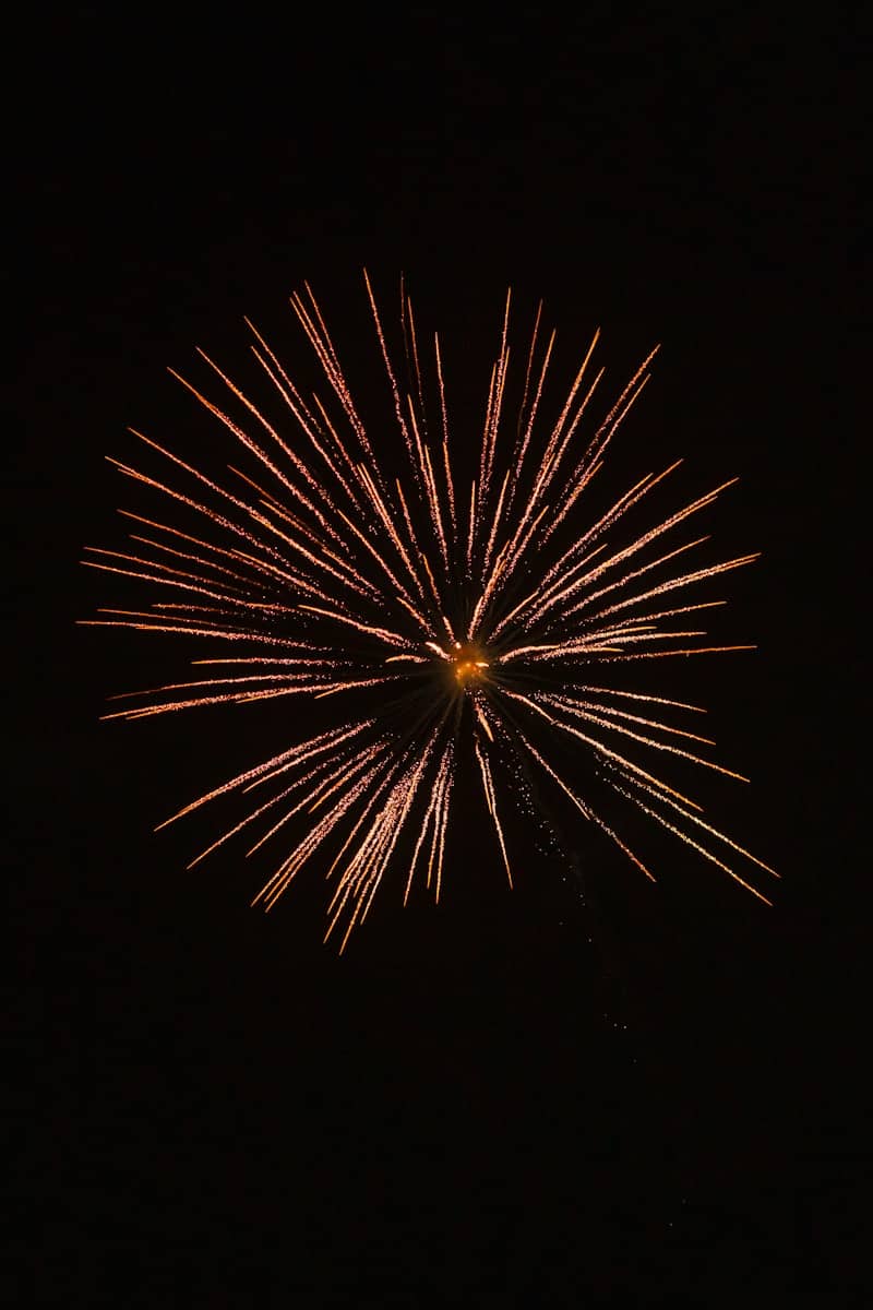 A single orange firework exploding in the night sky.