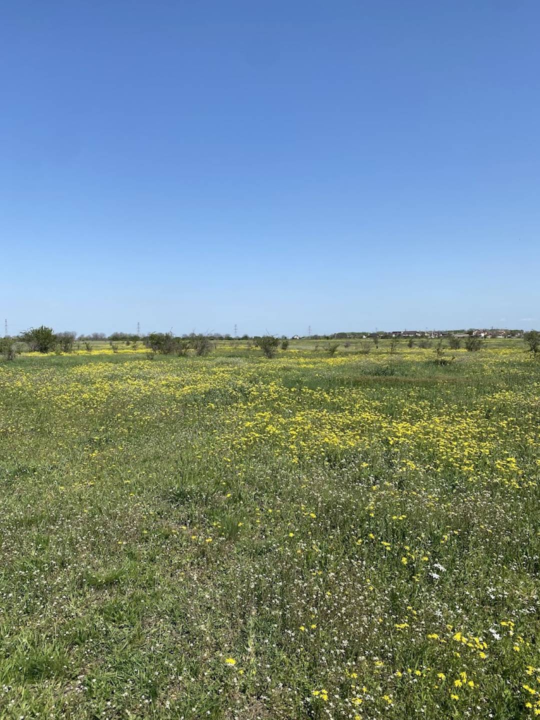 câmp, sat vinători, Vrancea