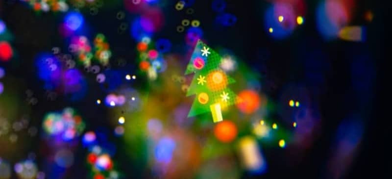 Small green christmas trees with colorful bokeh lights.