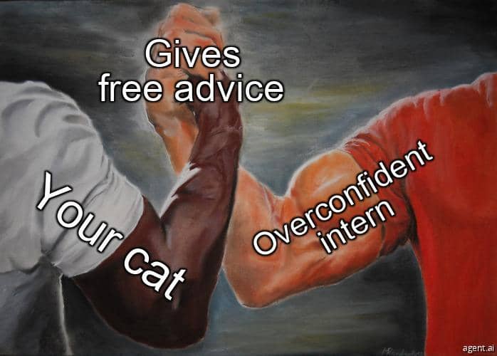 a meme on taking feedback from wrong people
