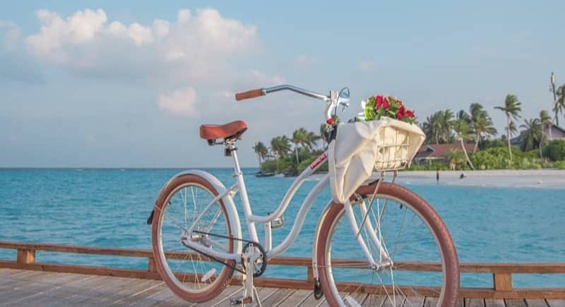 white bicycle on brown wooden dock during daytime
