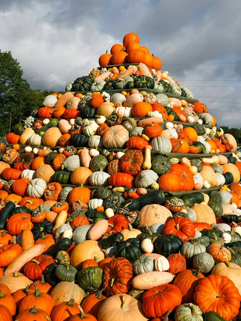 A large pyramid of assorted pumpkins and gourds in various colors under a cloudy sky