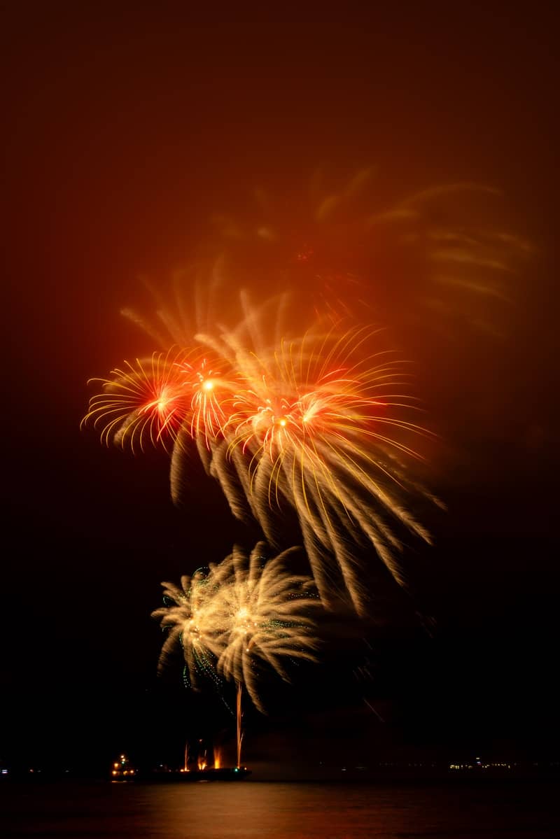 Bright fireworks explode over dark water at night.