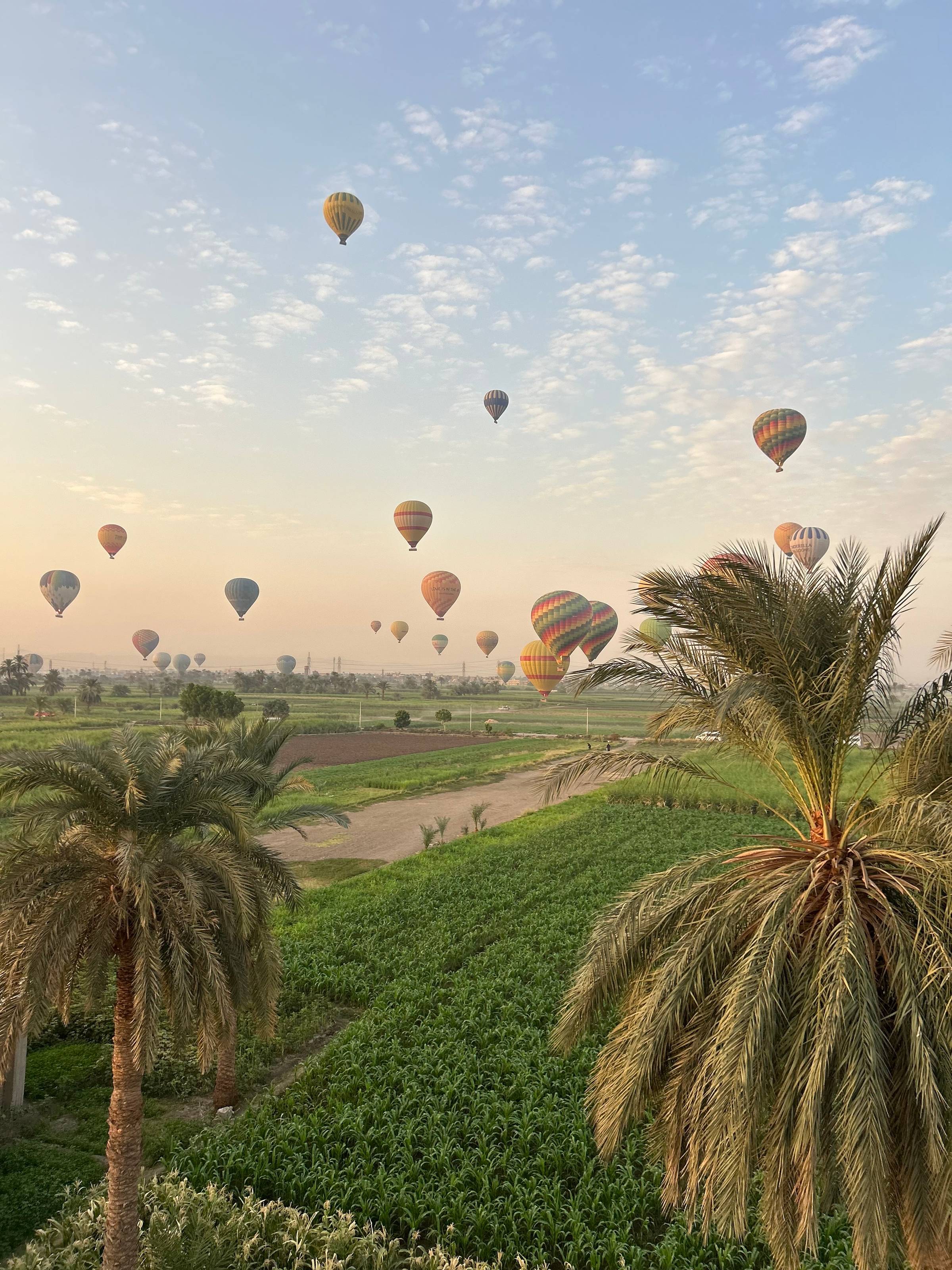 Hot air balloons over Luxor