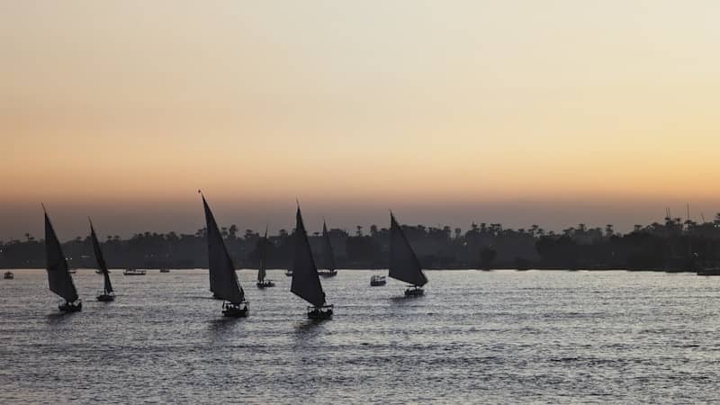 Sailboats glide on the nile river at sunset