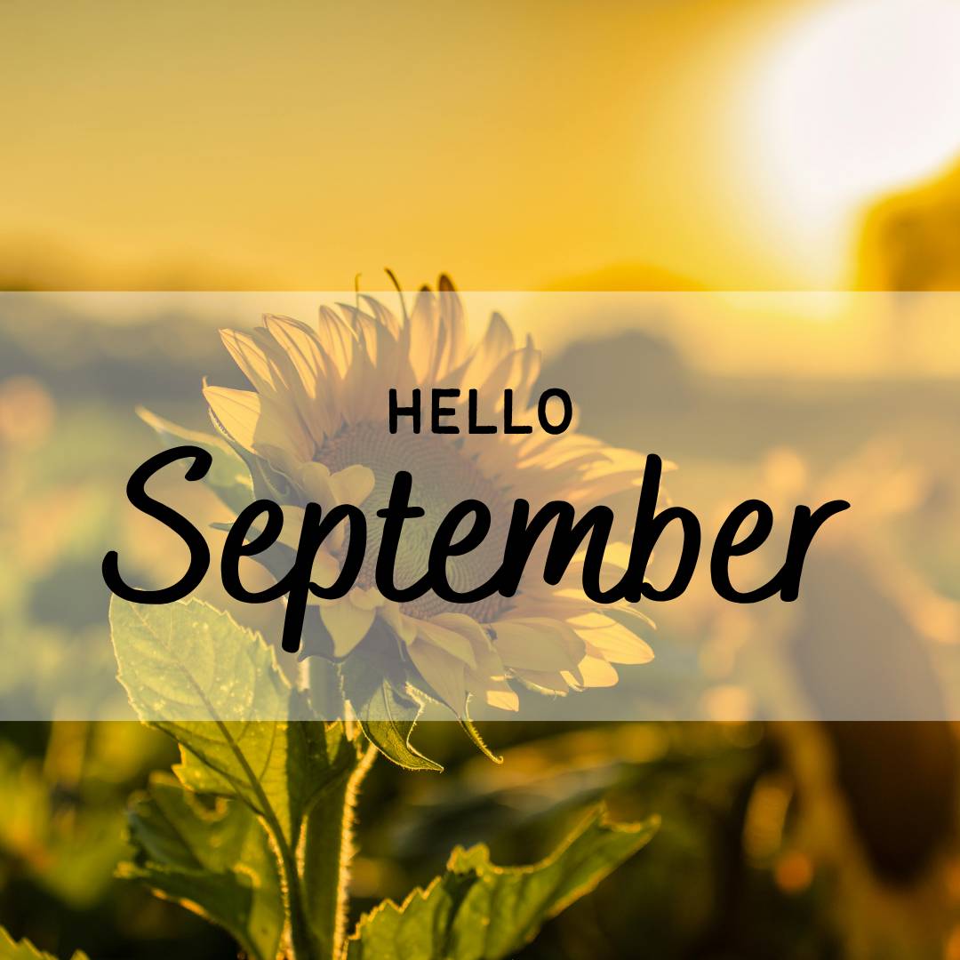 Hello September edition - Blossom Bulletin by Heather Jerrard of My Landscape Artist
