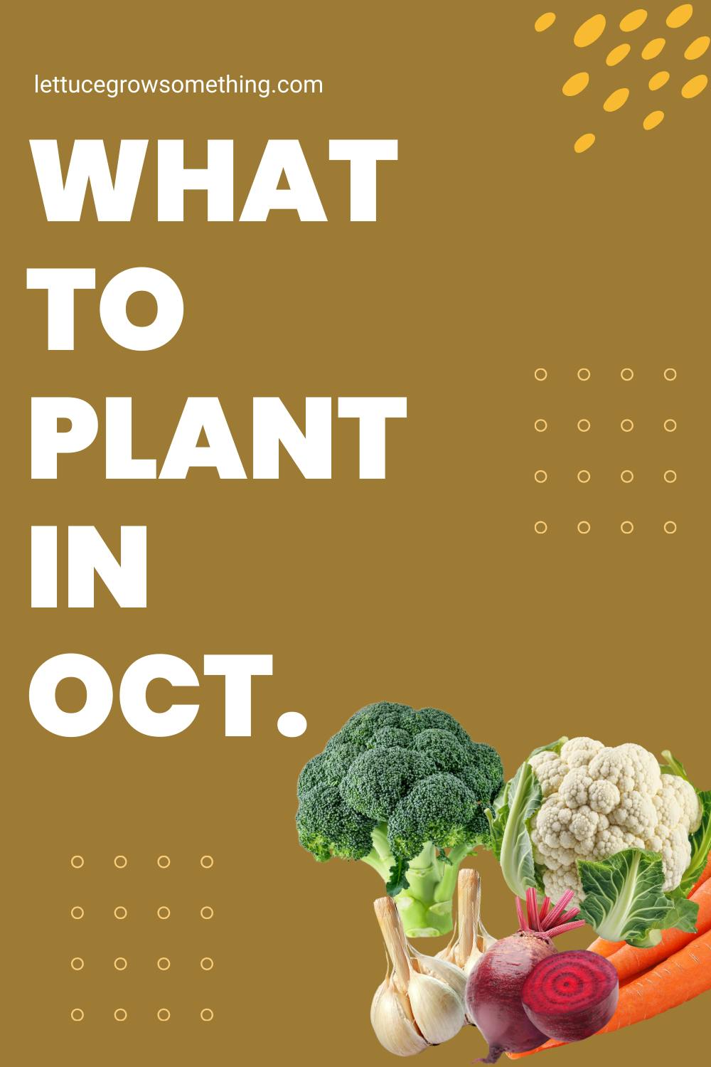 what to plant in October