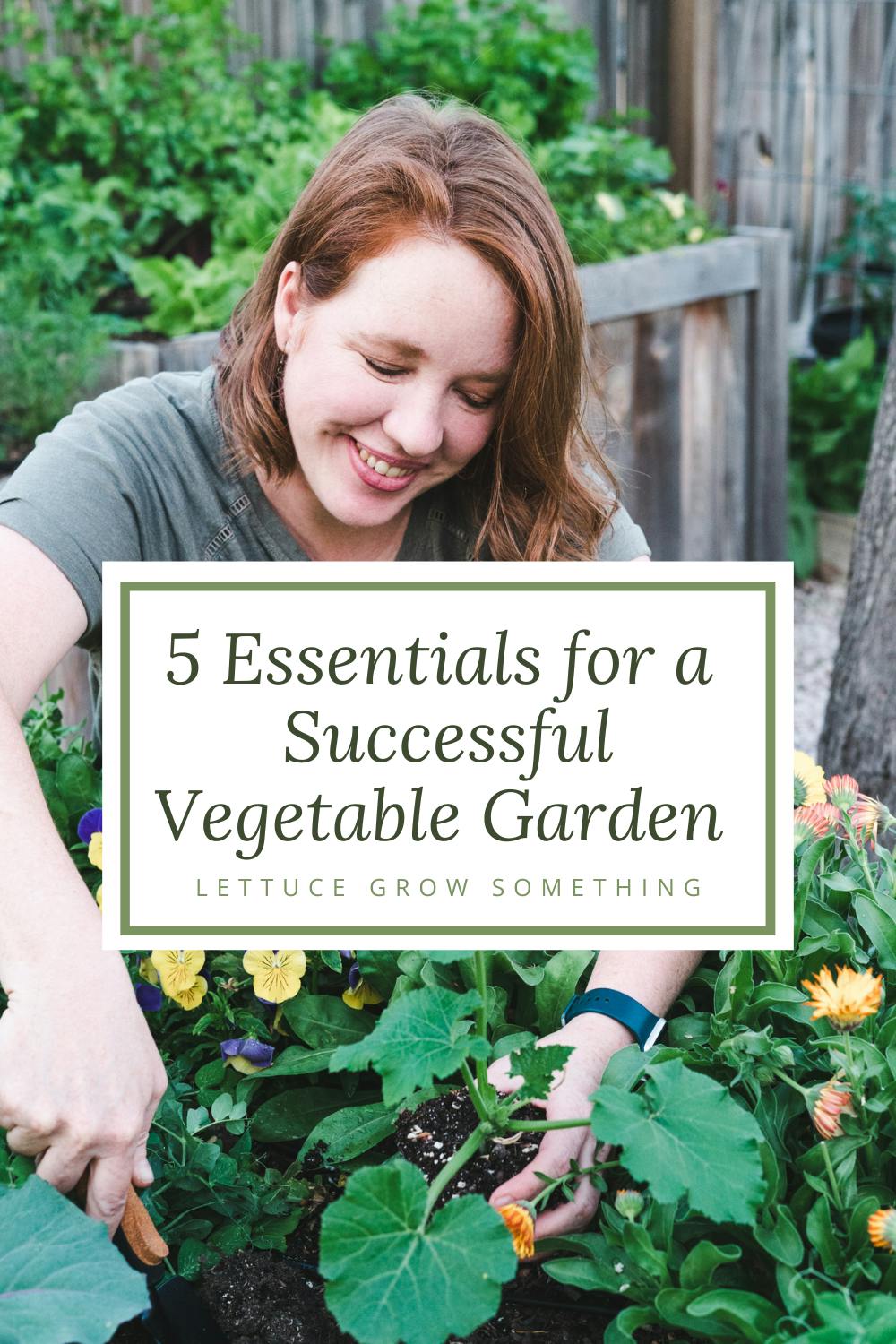 5 Essentials For A Successful Vegetable Garden