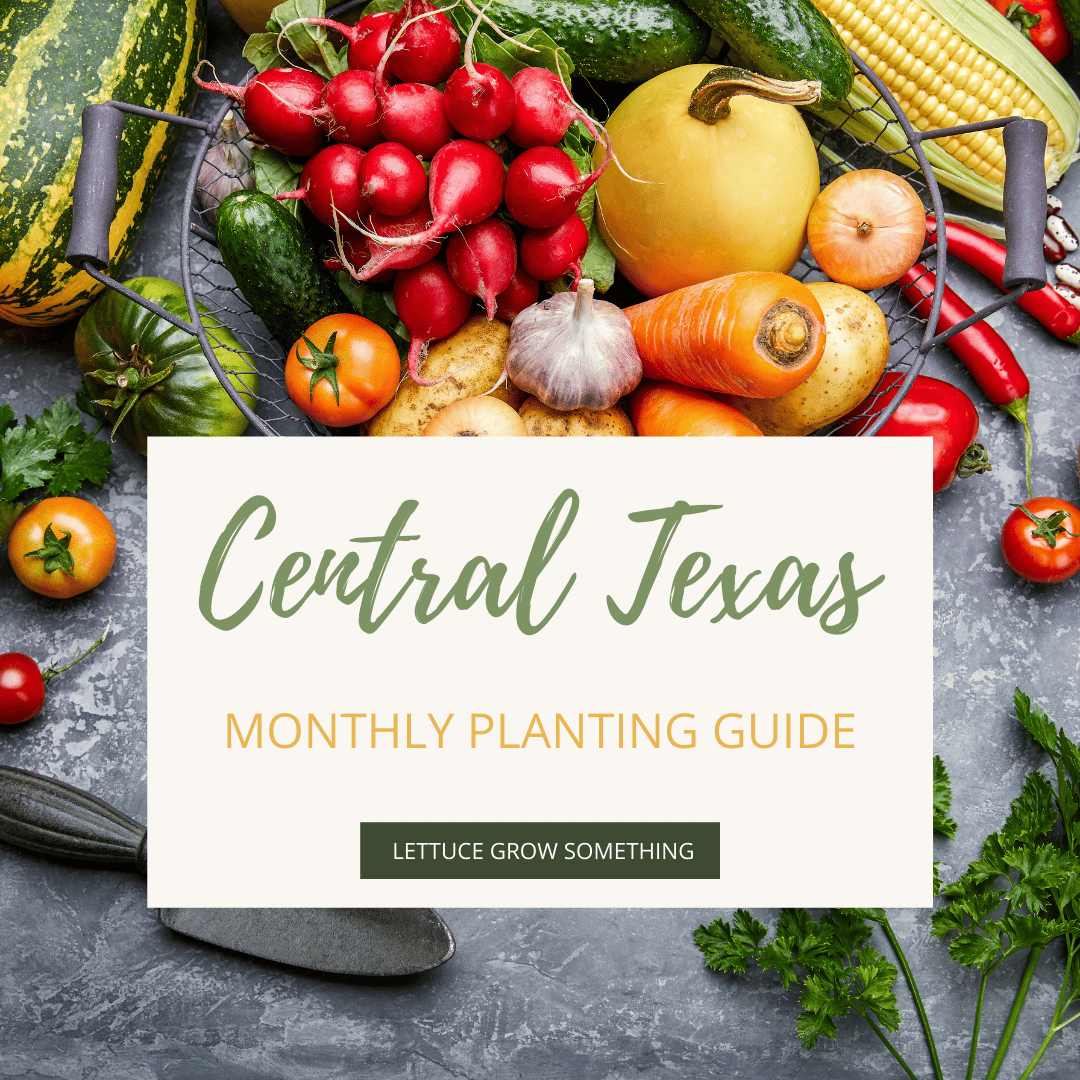 Central Texas Monthly Planting Guide (Digital Only)