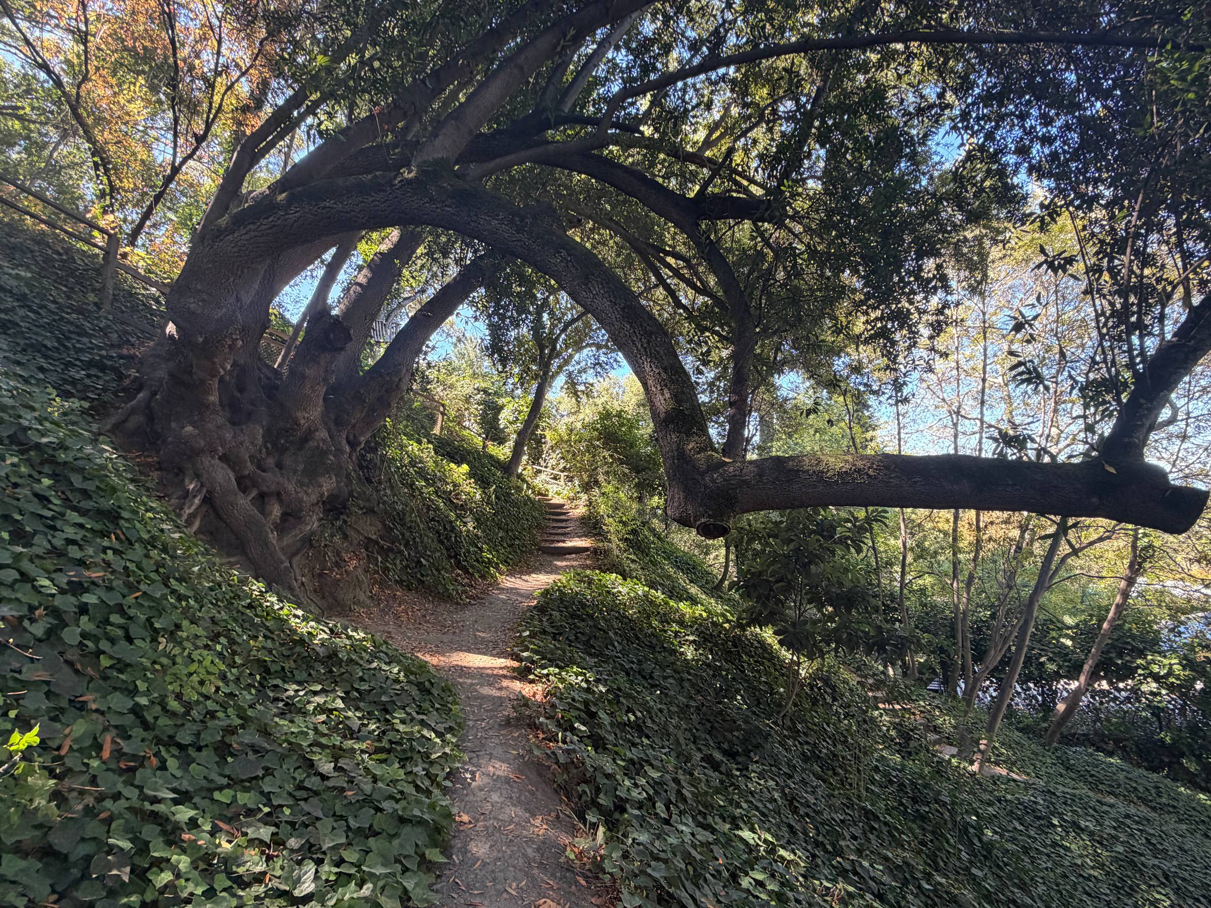Walking trail