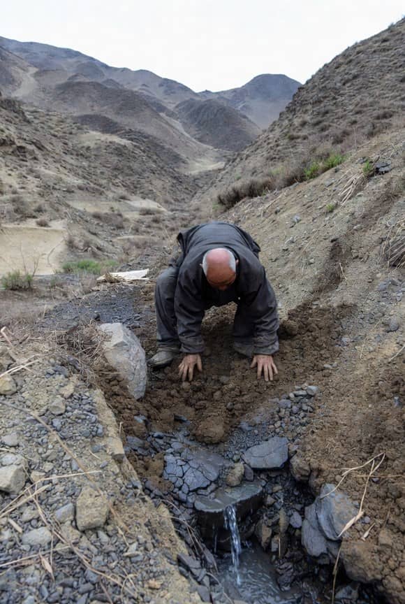 Brain and Brush 31 - Eudaimonia