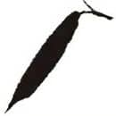 Brain and Brush 21 - El Hábito hace al monje. 