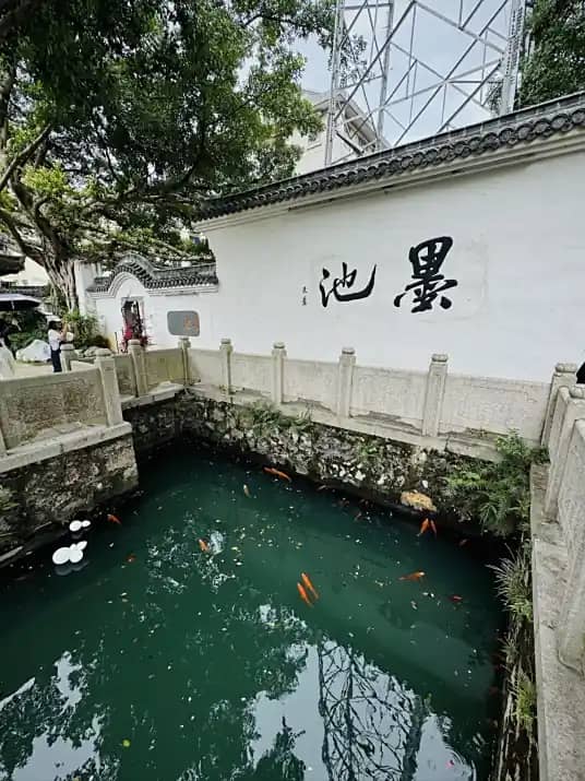 Brain and Brush 28 - El Estanque de Tinta