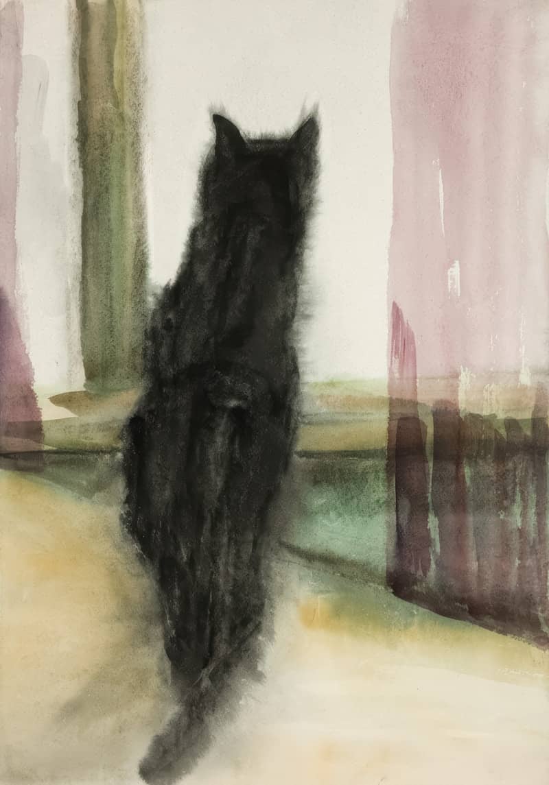 A black cat sits by a window.