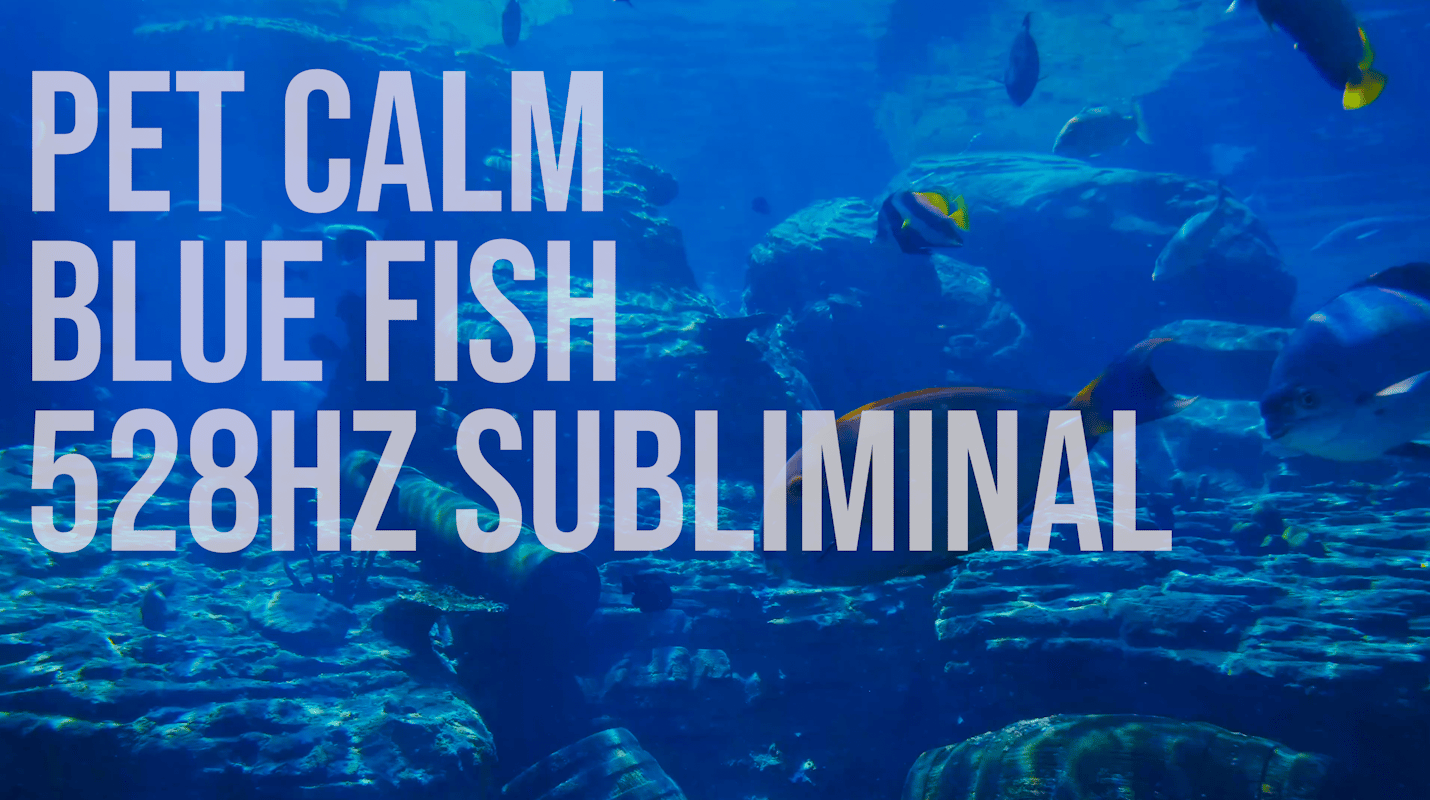 A school of fish in a blue seascape with the words Pet Calm Blue Fish 528 HZ Subliminal
