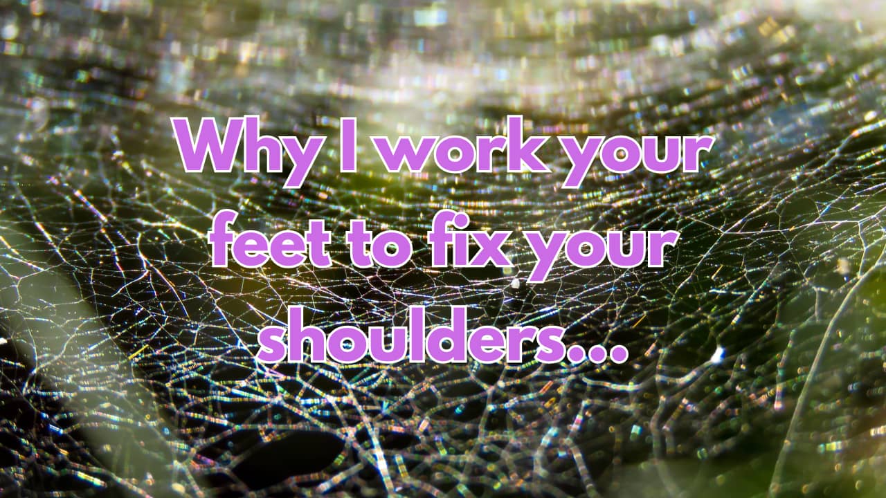 fascia and yoga