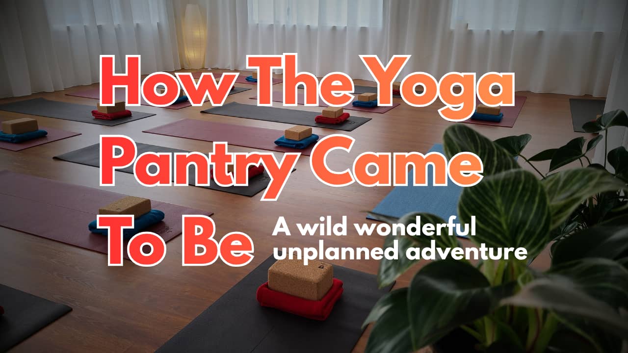 A wild wonderful unplanned adventure 