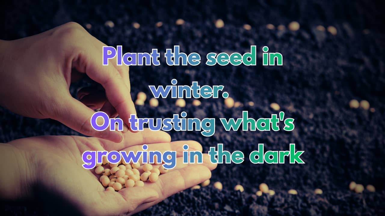 Plant the seed in winter - on trusting what's growing in the dark