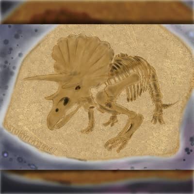Digital drawing. The fossil of a triceratops, seen head on from a three-quarters profile, facing left, is either etched in a sandy stone slab, or is standing in front of the slab. The slab is faintly etched with scratches and fern leaf stems. Watermark of “Storyfeather” along edge of slab at bottom left. The rectangular image is made square with a top and bottom border that display the darkened edges of the main image.