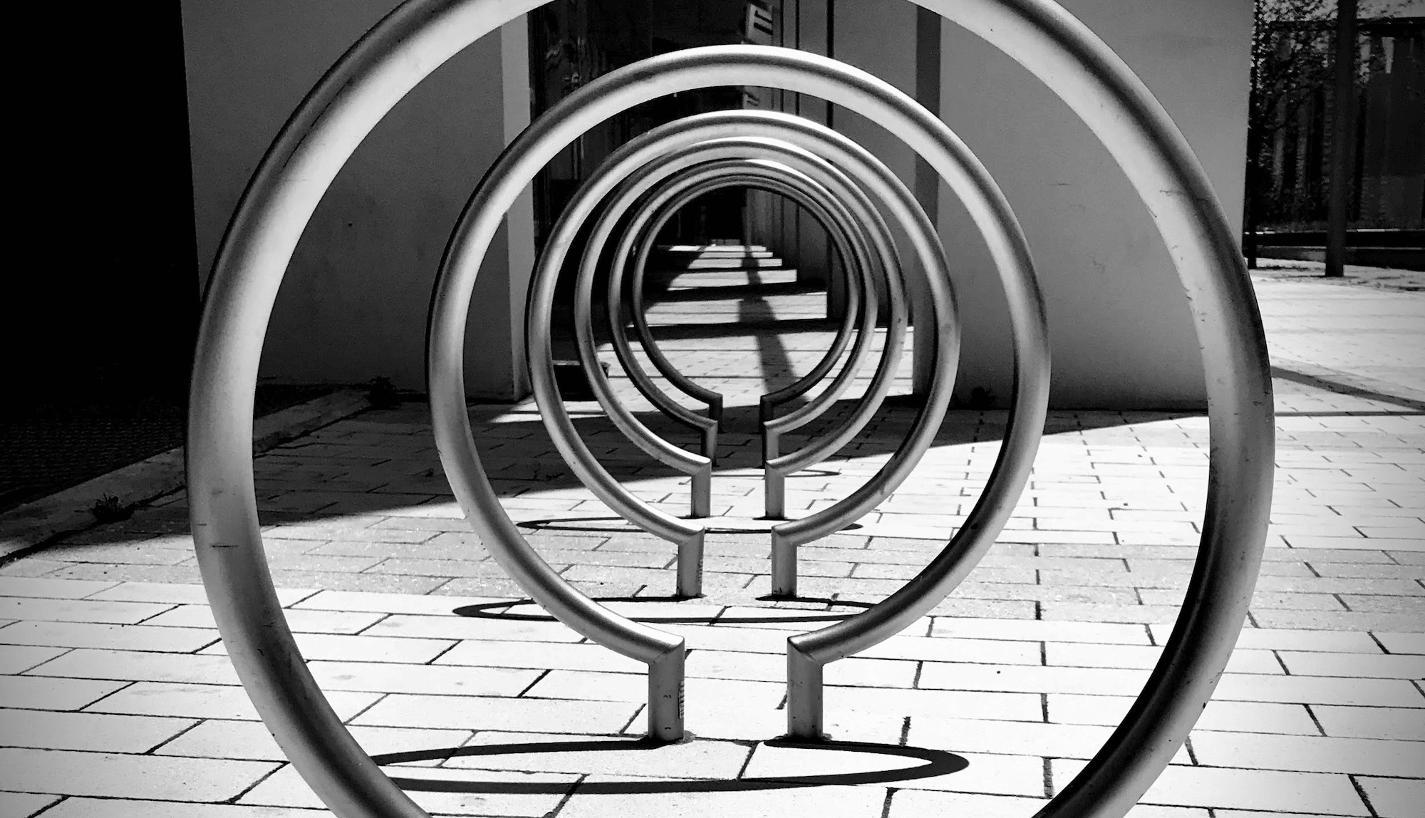 Photo by Sandra Mifsud on Unsplash