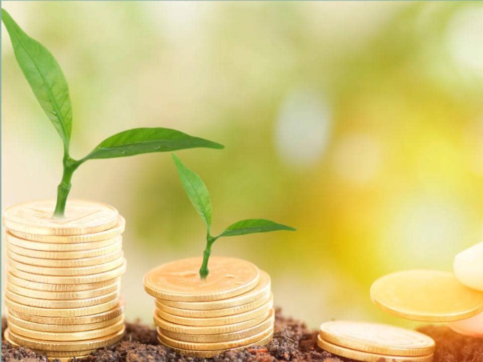 gold coins placed on soil with leaves growing out of the stack of gold coins