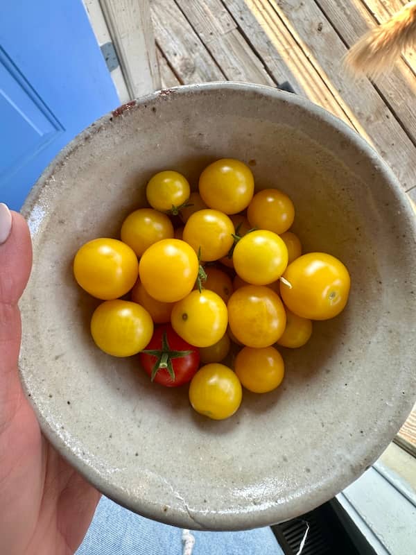 Ceramic bowl of gold and red cherry tomatoes