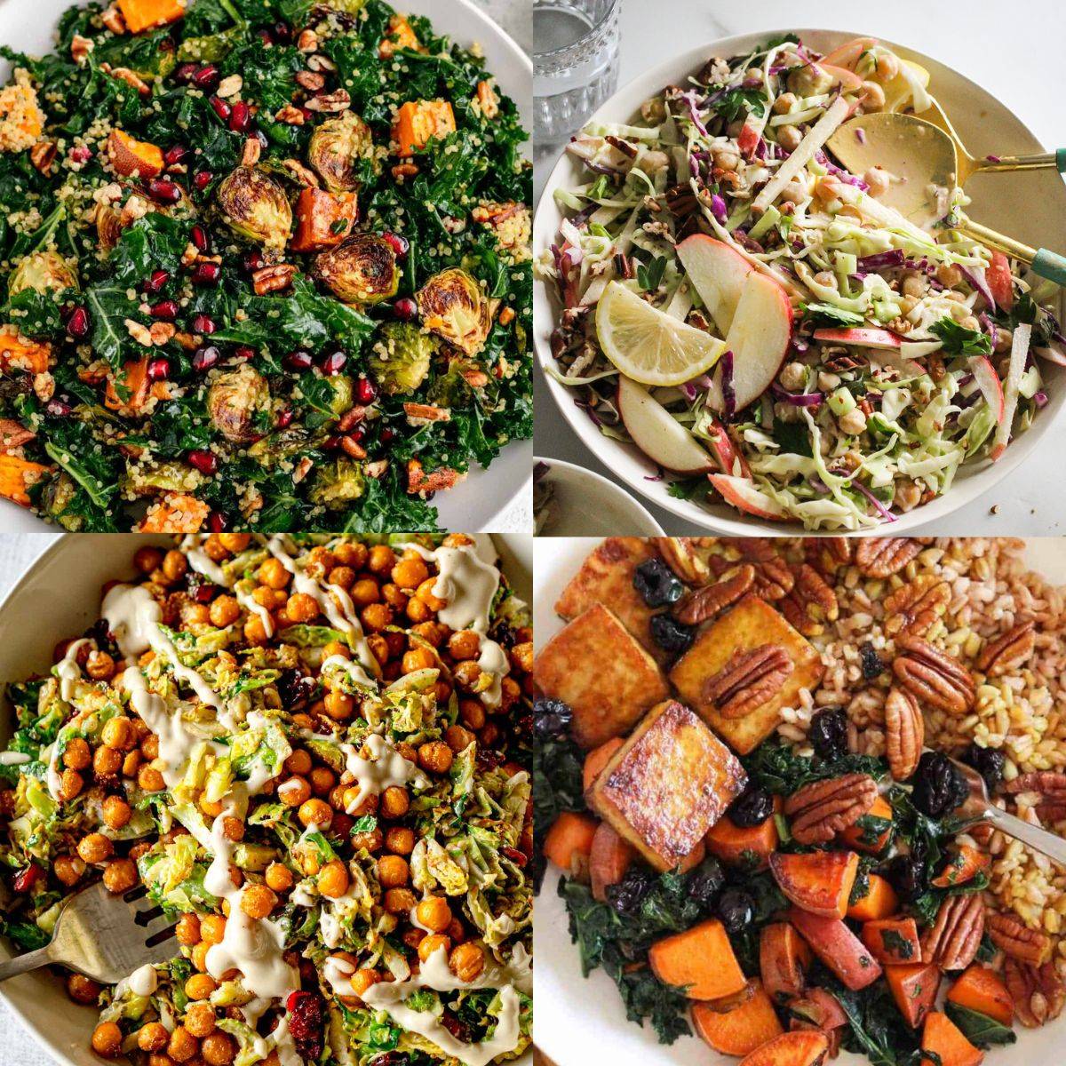 Four fall salad recipes with seasonal ingredients.
