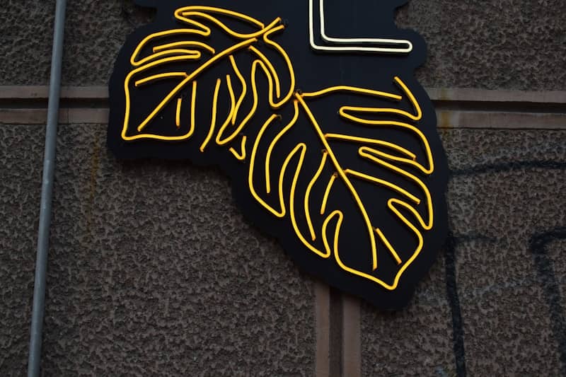 Neon sign with two yellow leaves on black background