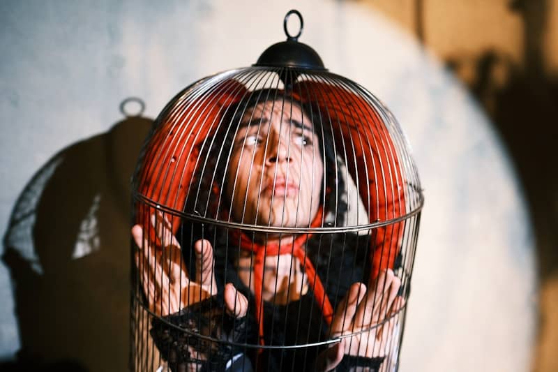 A person wearing a red headpiece inside a metal birdcage