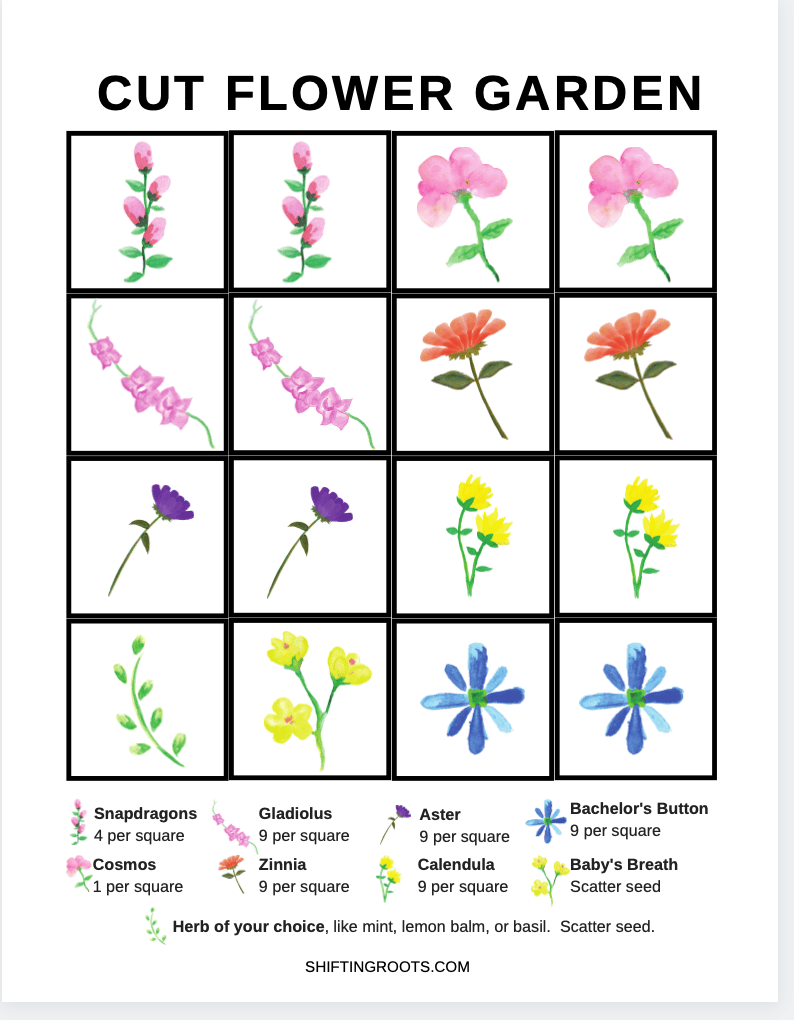 Cut Flower Garden Map How To Design A Cut Flower Garden In Raised Beds | Shifting Roots