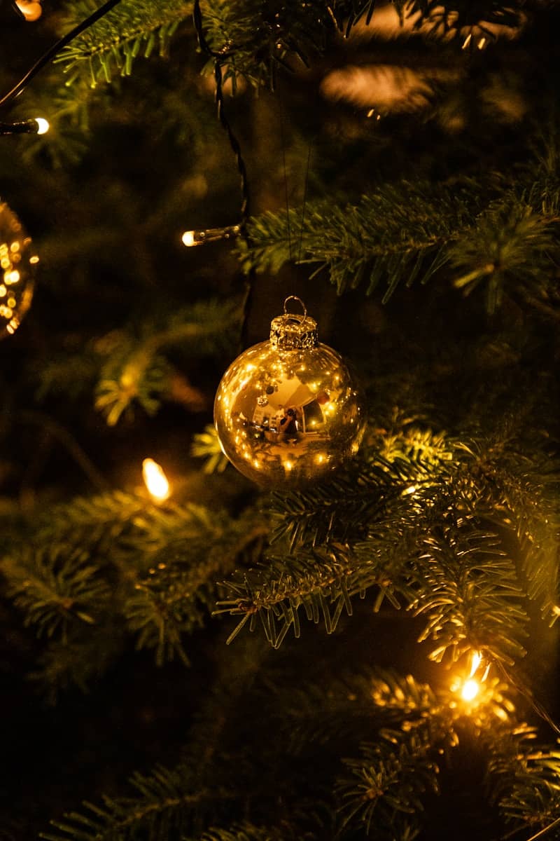 Golden bauble and lights on christmas tree