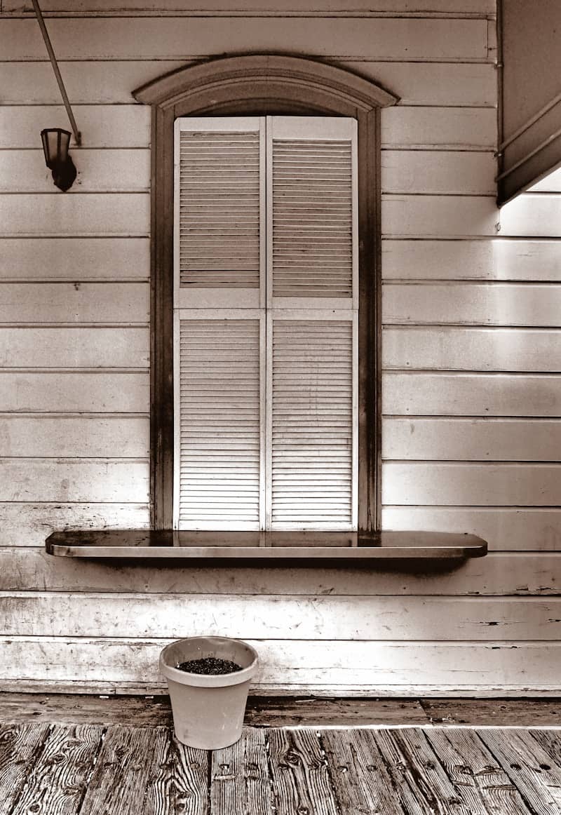 Sepia toned window with closed shutters and flower pot.
