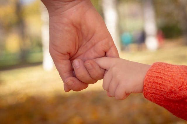 Photo by olga Volkovitskaia: https://www.pexels.com/photo/parent-and-child-holding-hands-in-autumn-park-33593549/