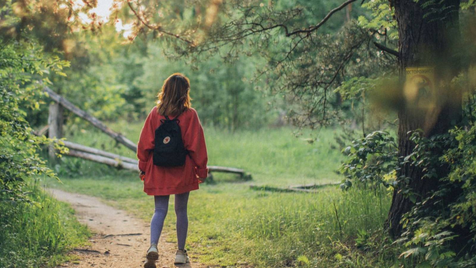 Woman standing on a forest path that curves out of sight ahead.