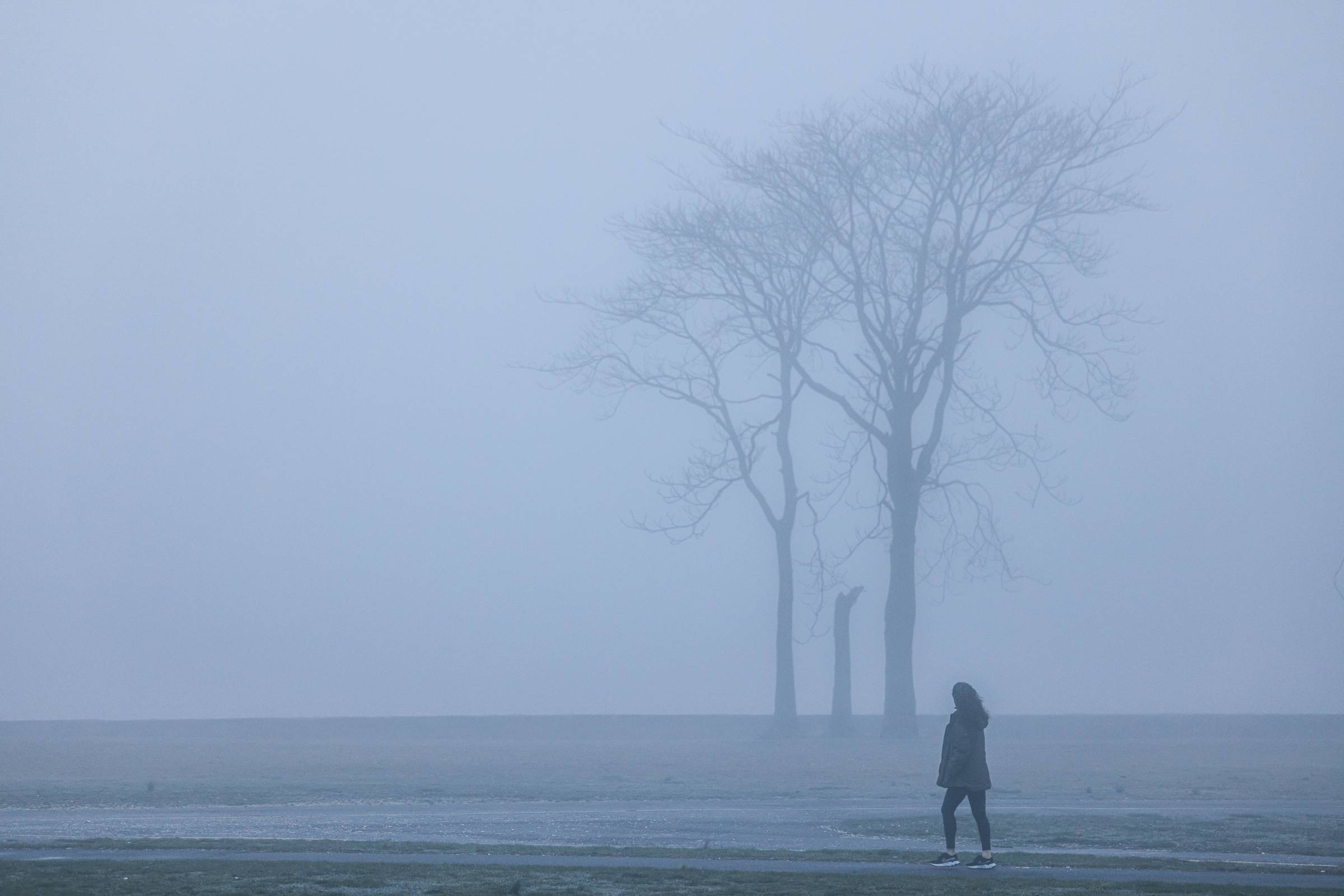 A person walking through a misty landscape toward a group of bare trees, with most of the scene softened by dense fog.