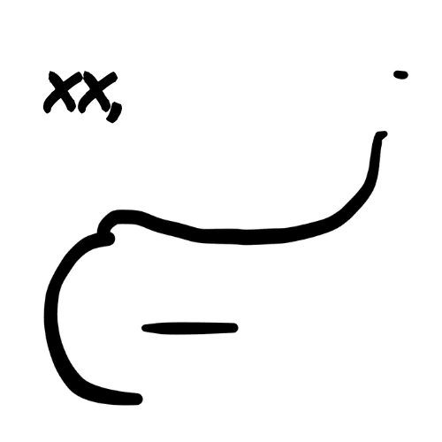 Naseem's author signature with "xx," above it. The author signature is their name in Farsi.