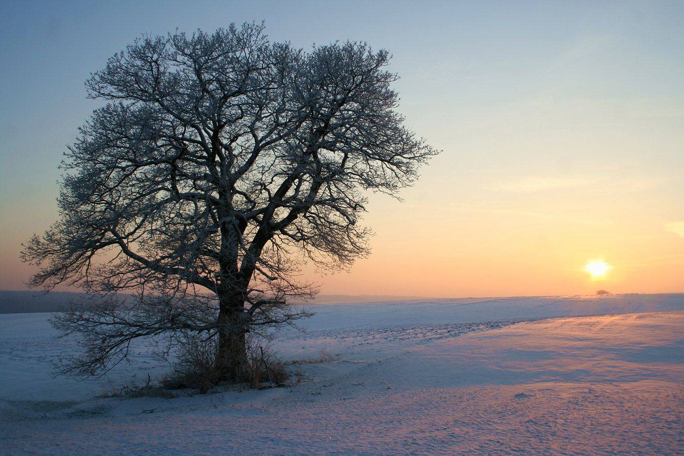 Winter Rebalancing Session