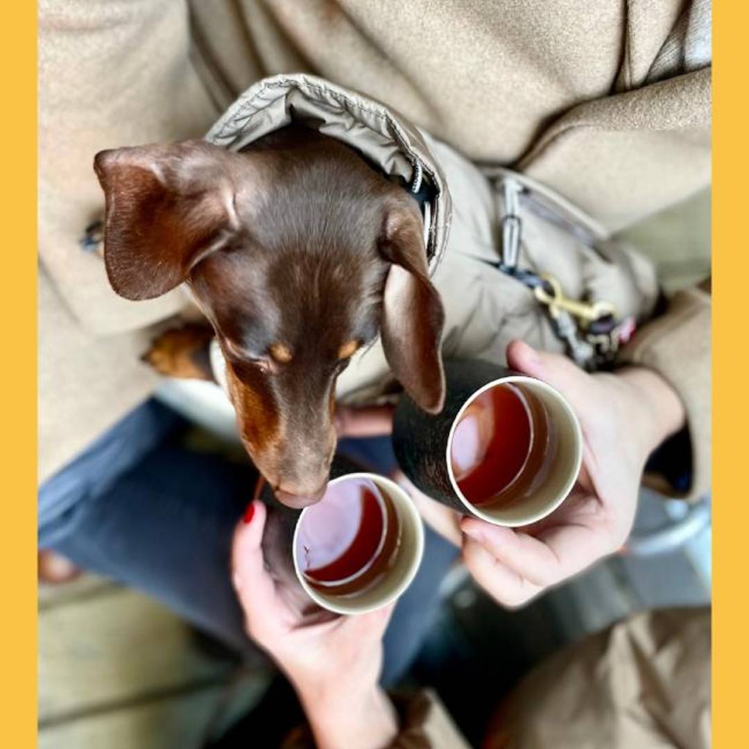 Barrow's Intense NYC Tasting Room