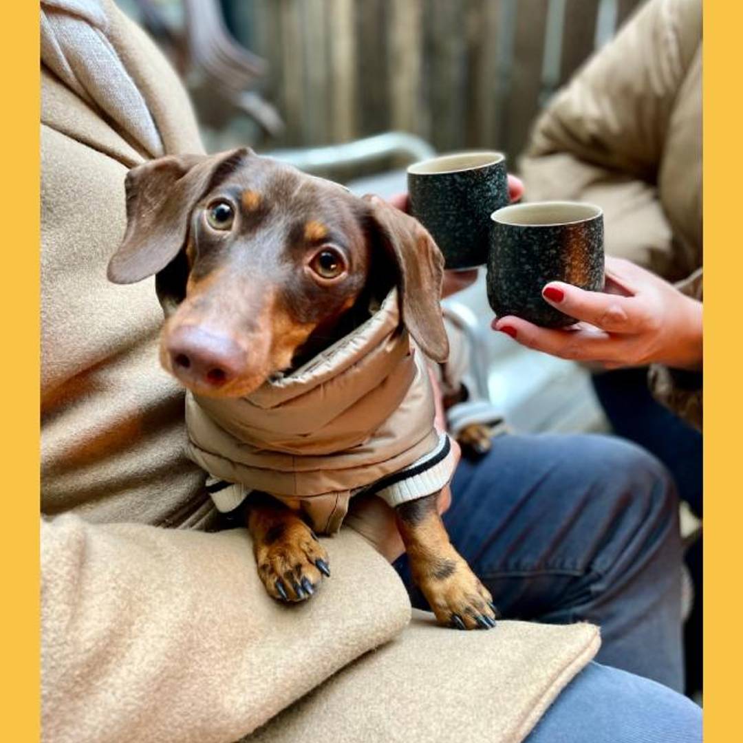 Barrow's Intense NYC Tasting Room