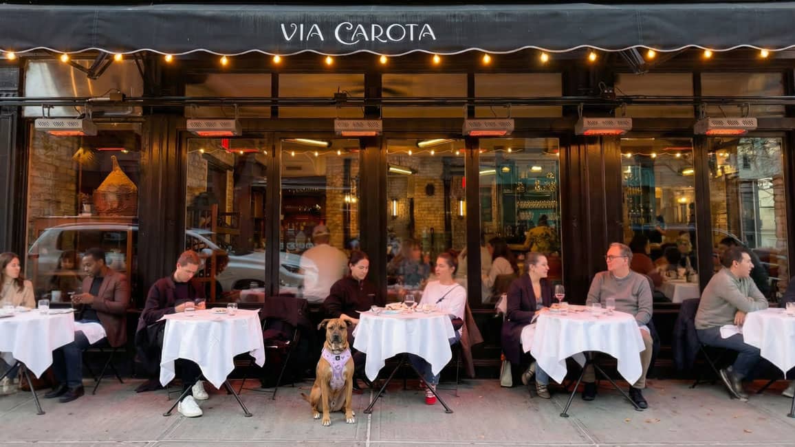 Jet Set Pets NYC Wet Noseletter April 1, 2026