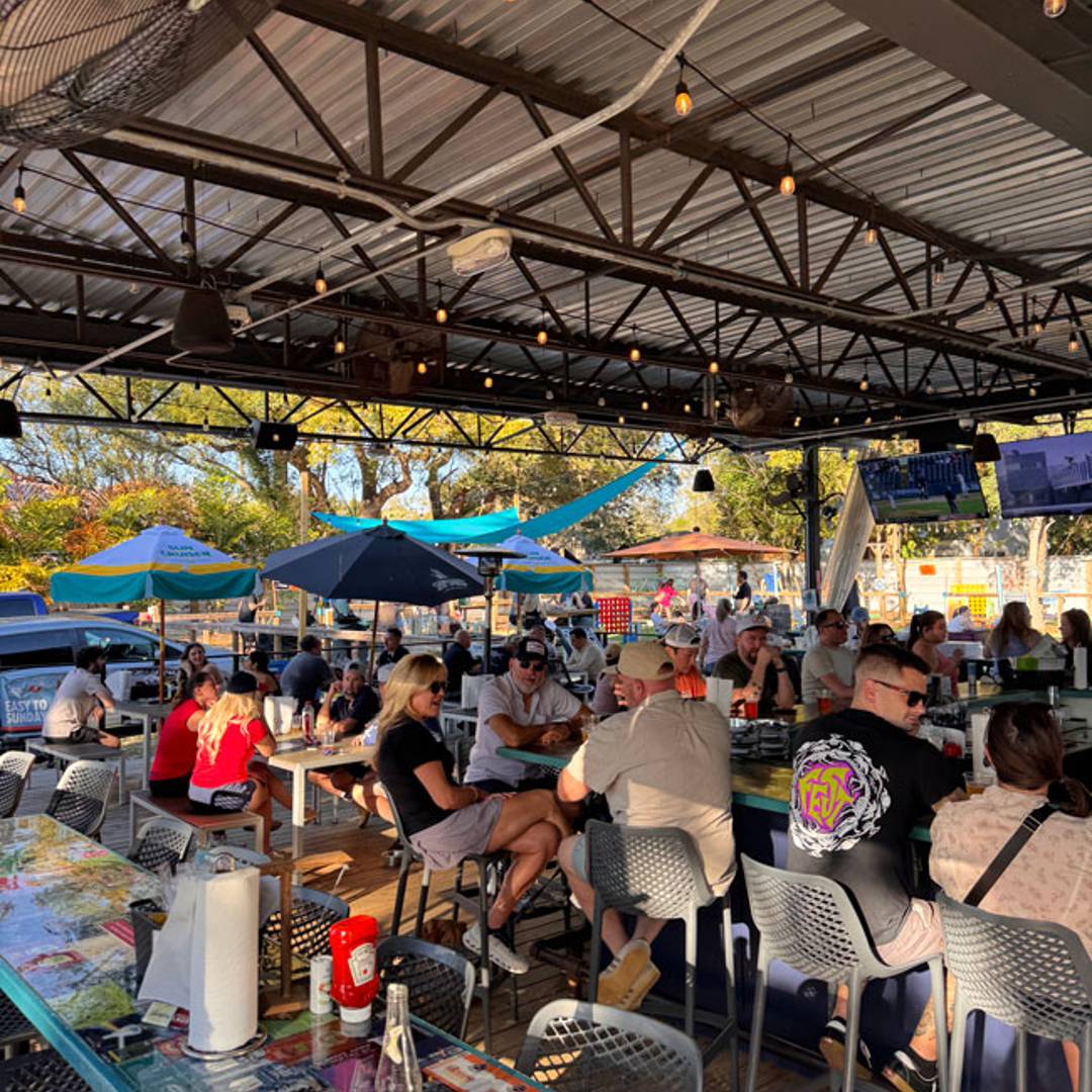 dog friendly bar restaurant the rollin mullet tampa fl