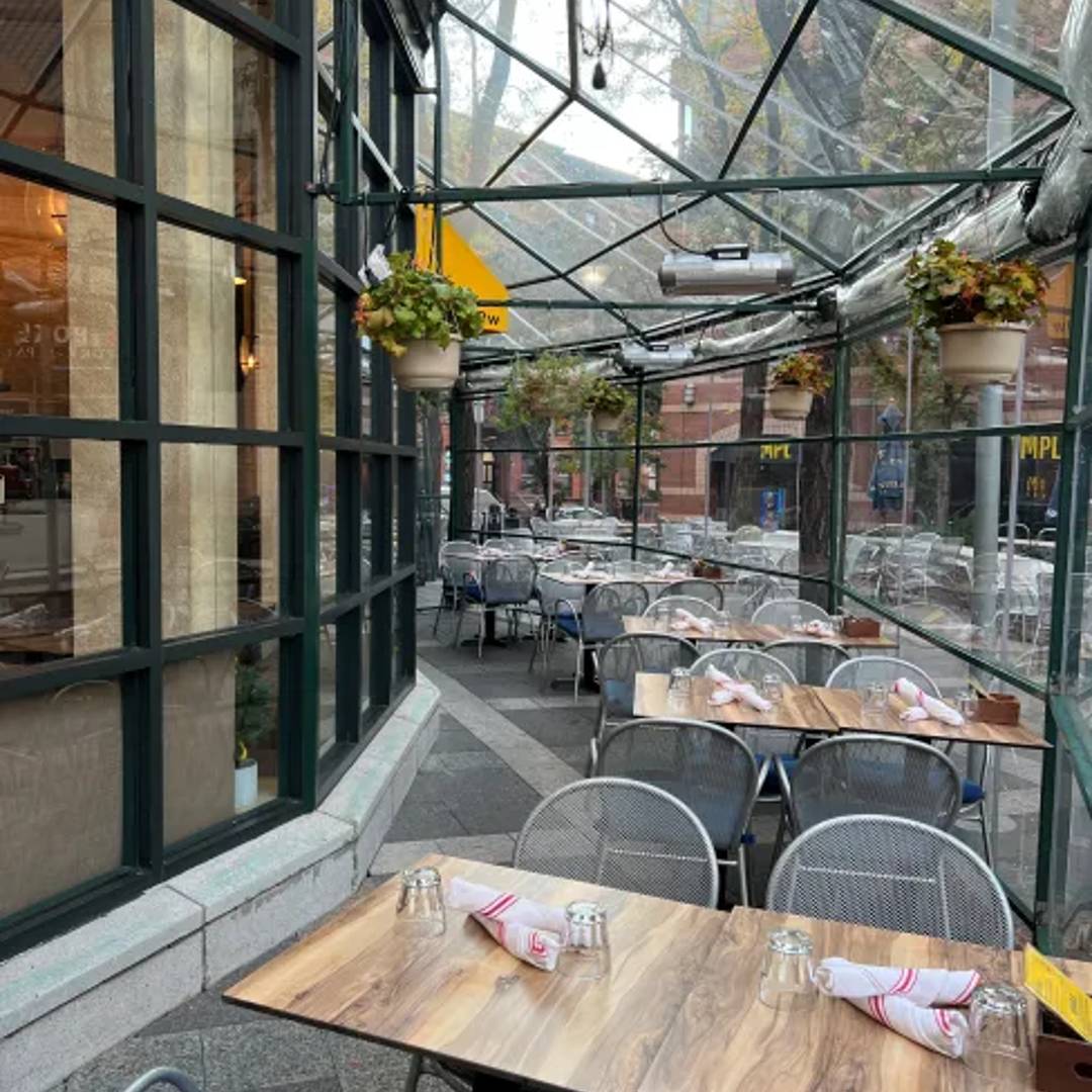 Barking Dog Hell's Kitchen Dog Friendly 